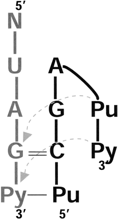 FIGURE 7.