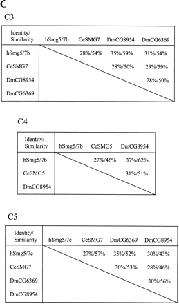 FIGURE 7.