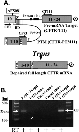 FIGURE 1.