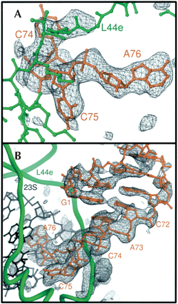 FIGURE 1.
