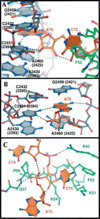 FIGURE 4.