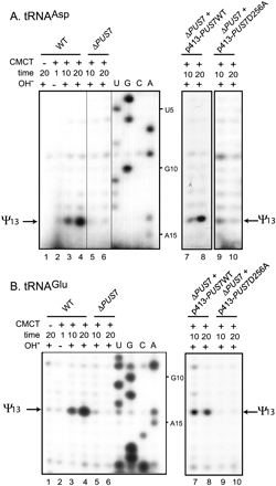 FIGURE 3.