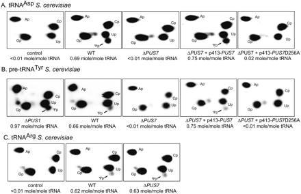 FIGURE 4.