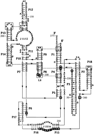FIGURE 1.