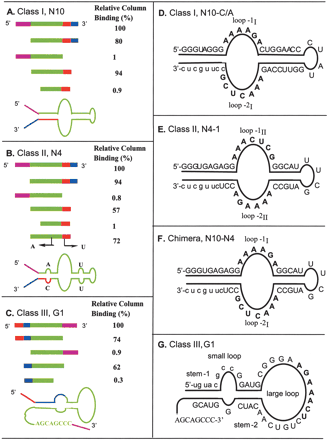 FIGURE 4.