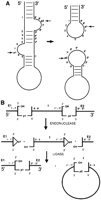 FIGURE 9.