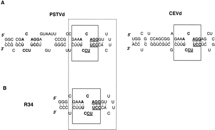 FIGURE 5.