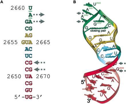 FIGURE 1.