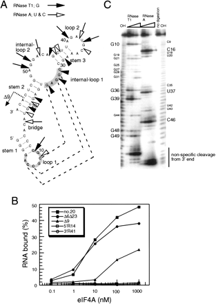 FIGURE 4.