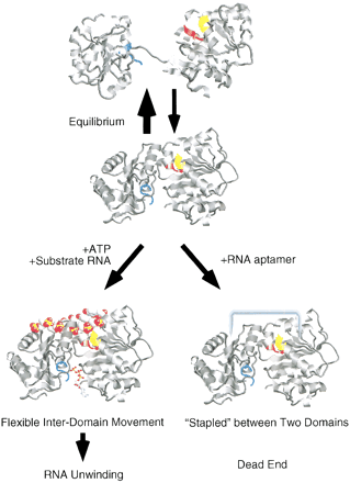 FIGURE 7.