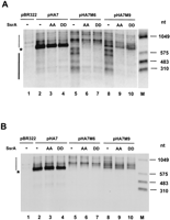 FIGURE 4.