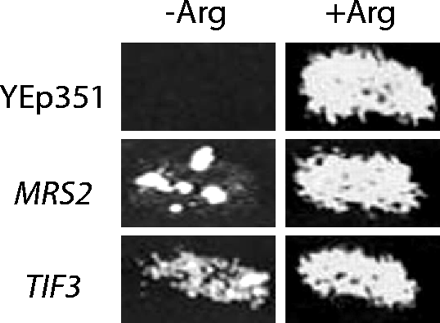 FIGURE 5.