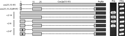 FIGURE 6.