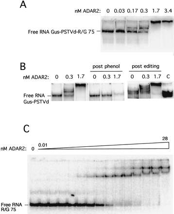 FIGURE 2.