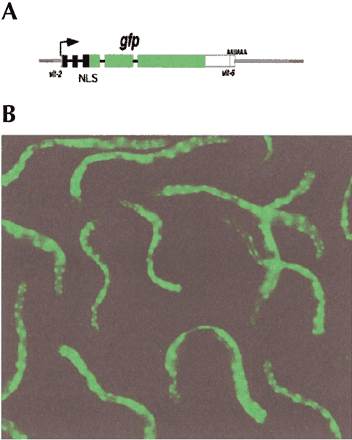 FIGURE 1.