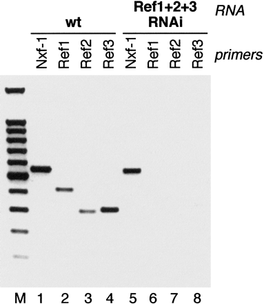 FIGURE 4.