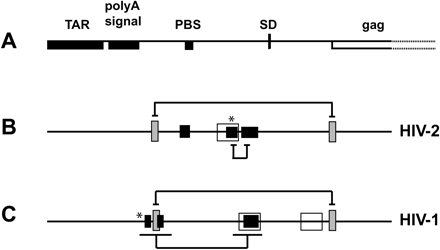 FIGURE 9.