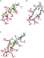 FIGURE 7.