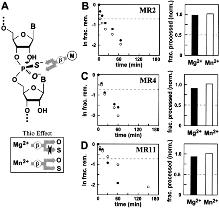 FIGURE 4.