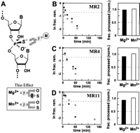 FIGURE 4.