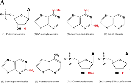 FIGURE 4.