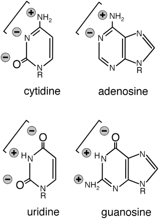 FIGURE 7.