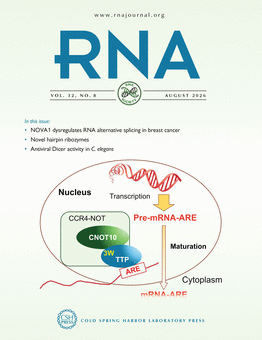 Current Issue Cover